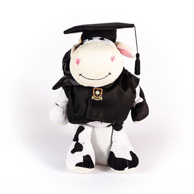 graduation-bachelor-cow